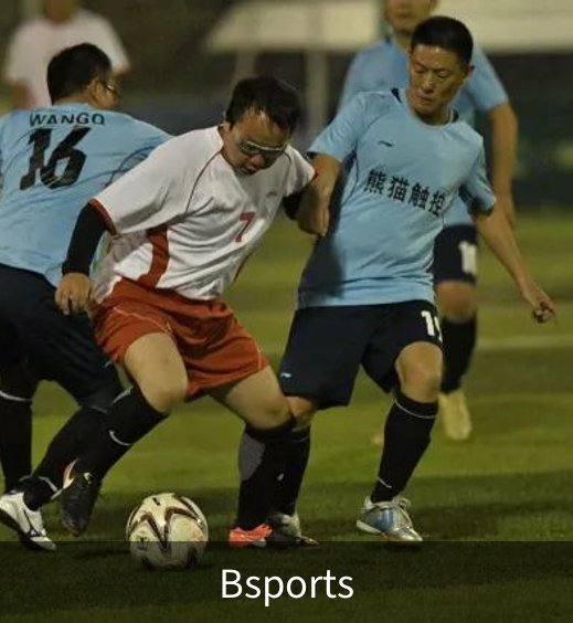 Bsports介绍